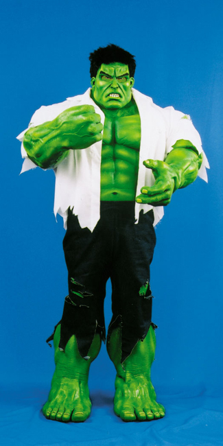 Hulk Super Deluxe Costume